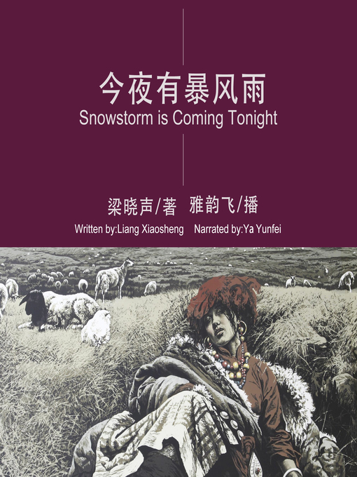 Cover image for 今夜有暴风雪